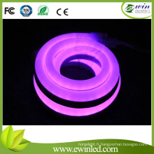 110V 2 Fils Simple Couleur Mini LED Néon Flexible